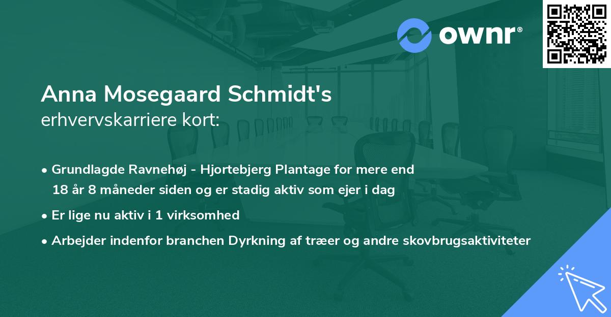 Anna Mosegaard Schmidt's erhvervskarriere kort