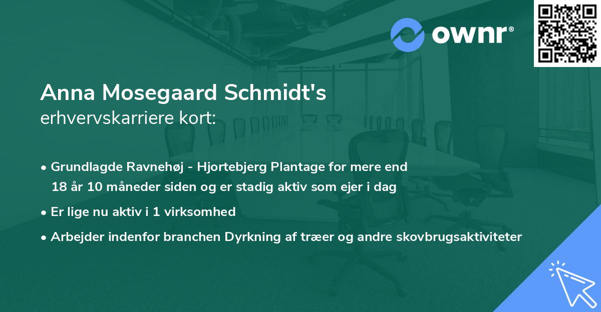 Anna Mosegaard Schmidt's erhvervskarriere kort