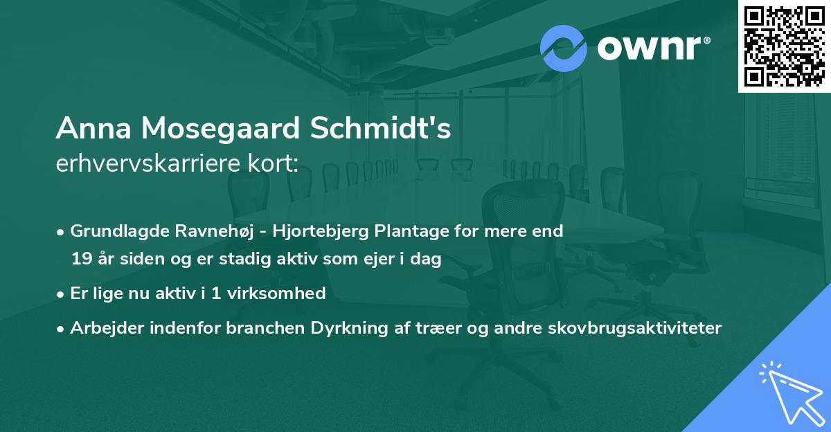 Anna Mosegaard Schmidt's erhvervskarriere kort