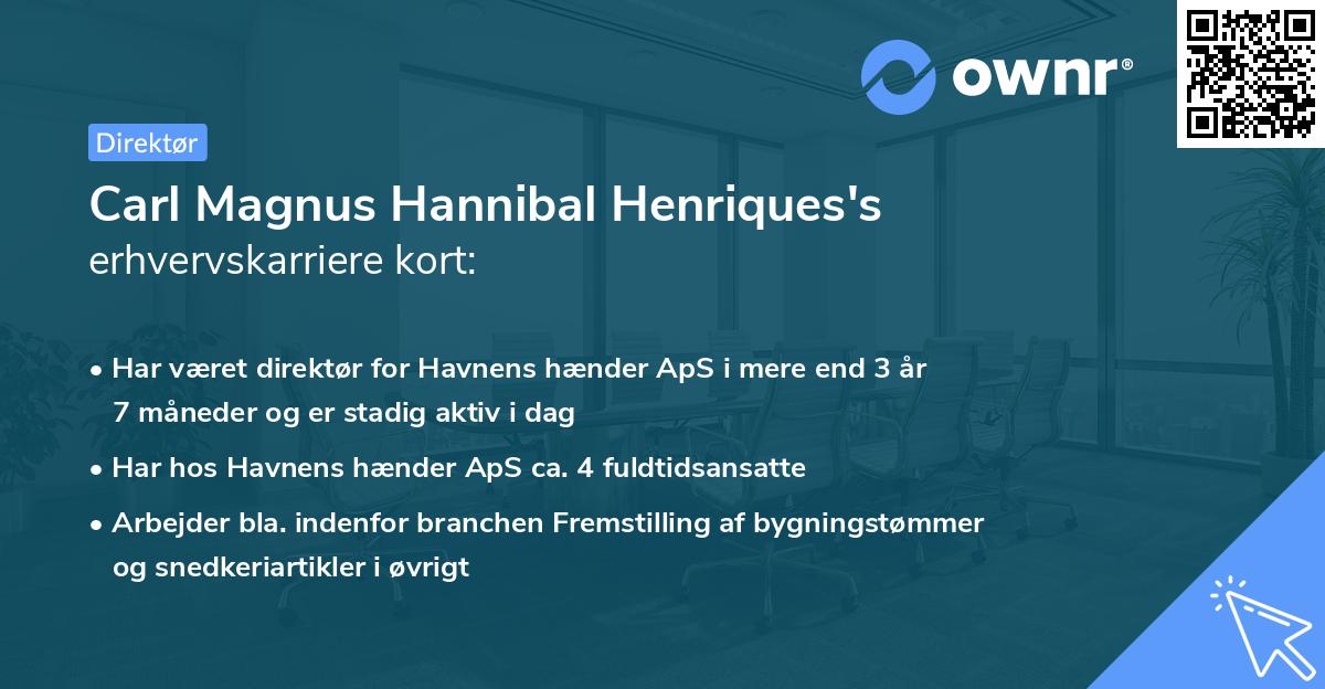 Carl Magnus Hannibal Henriques's erhvervskarriere kort