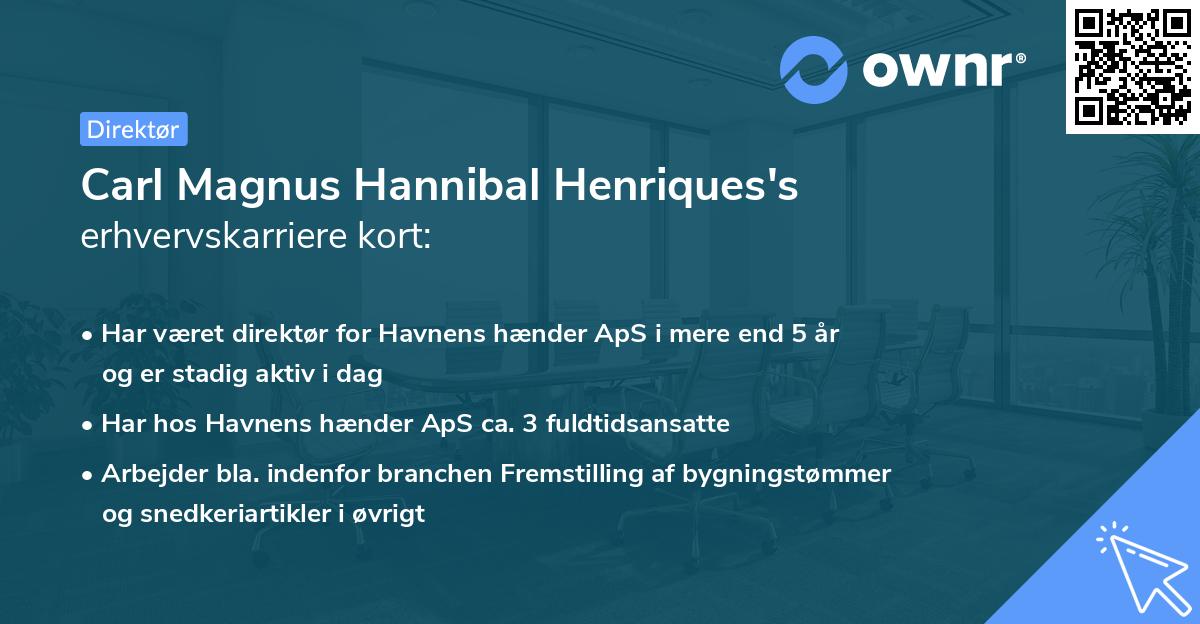 Carl Magnus Hannibal Henriques's erhvervskarriere kort
