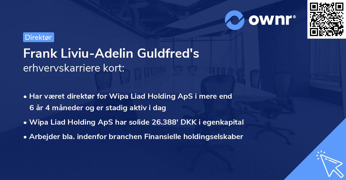 Frank Liviu-Adelin Guldfred's erhvervskarriere kort