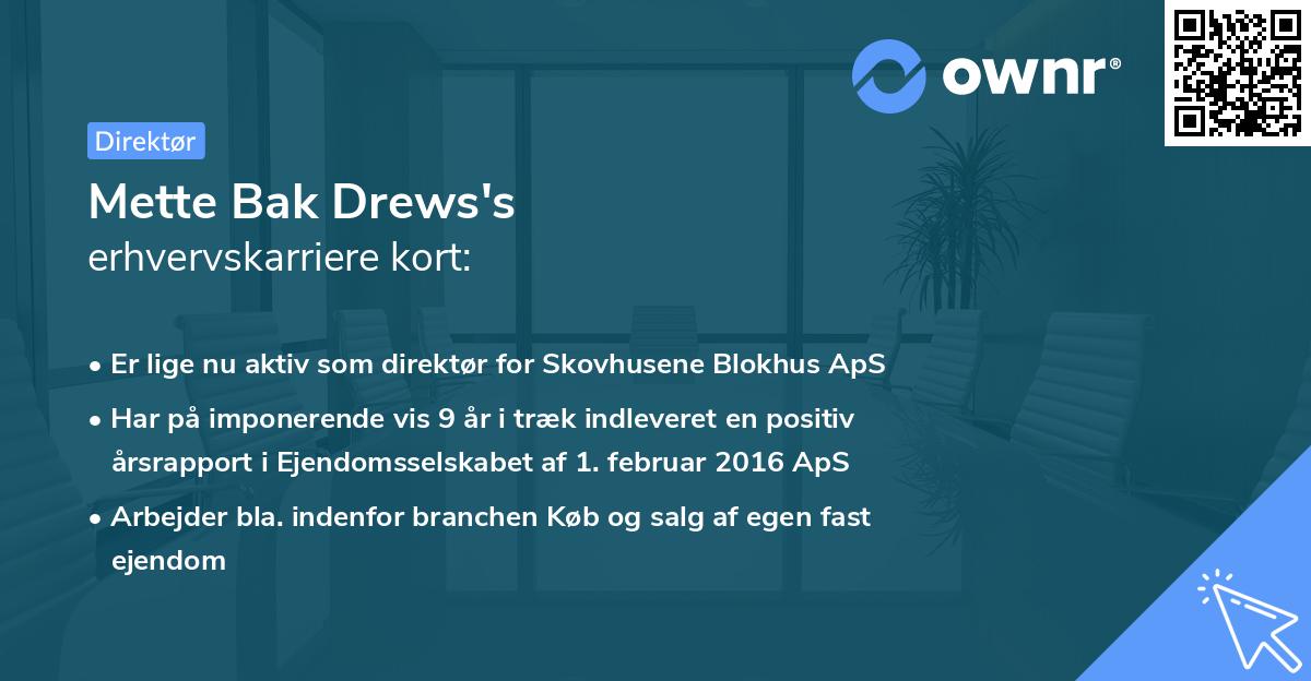 Mette Bak Drews's erhvervskarriere kort