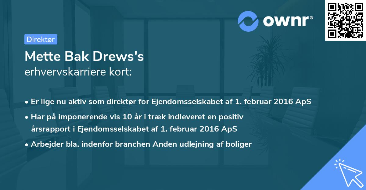 Mette Bak Drews's erhvervskarriere kort