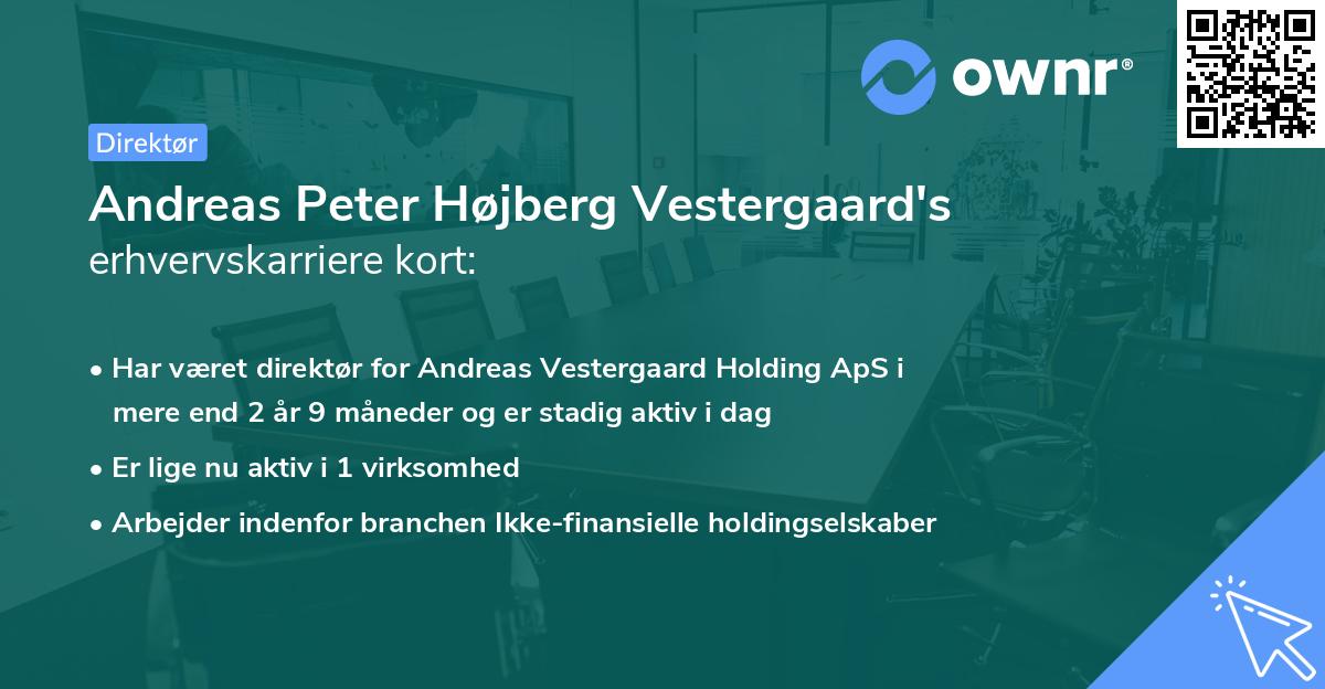Andreas Peter Højberg Vestergaard's erhvervskarriere kort