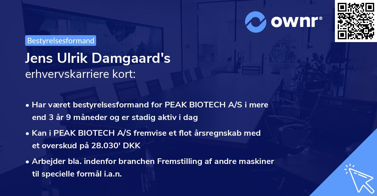 Jens Ulrik Damgaard's erhvervskarriere kort