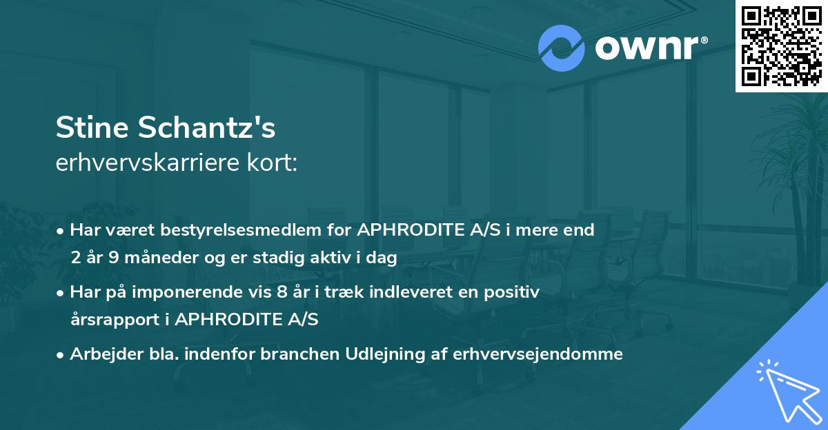 Stine Schantz's erhvervskarriere kort