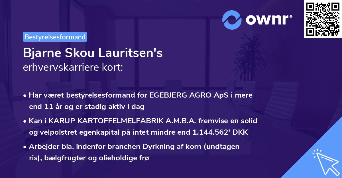 Bjarne Skou Lauritsen's erhvervskarriere kort