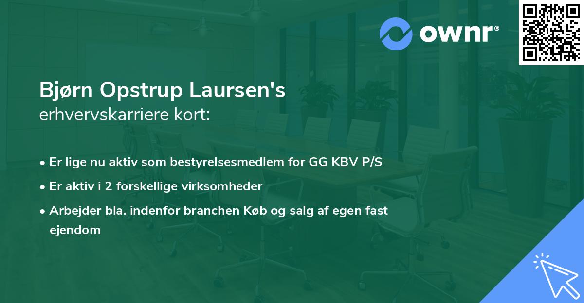 Bjørn Opstrup Laursen's erhvervskarriere kort
