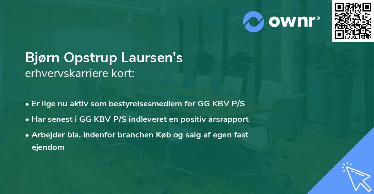 Bjørn Opstrup Laursen's erhvervskarriere kort