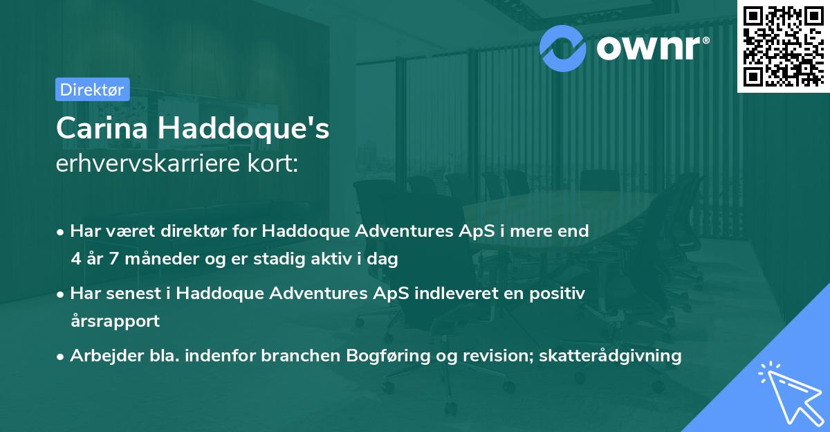 Carina Haddoque's erhvervskarriere kort