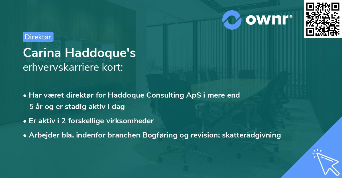 Carina Haddoque's erhvervskarriere kort