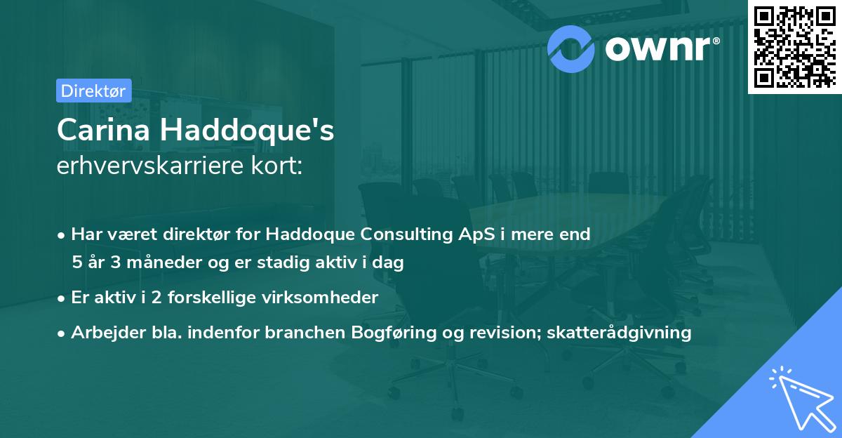 Carina Haddoque's erhvervskarriere kort