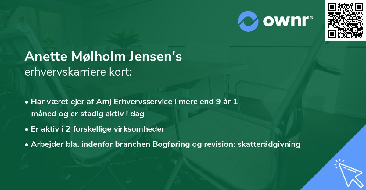 Anette Mølholm Jensen's erhvervskarriere kort