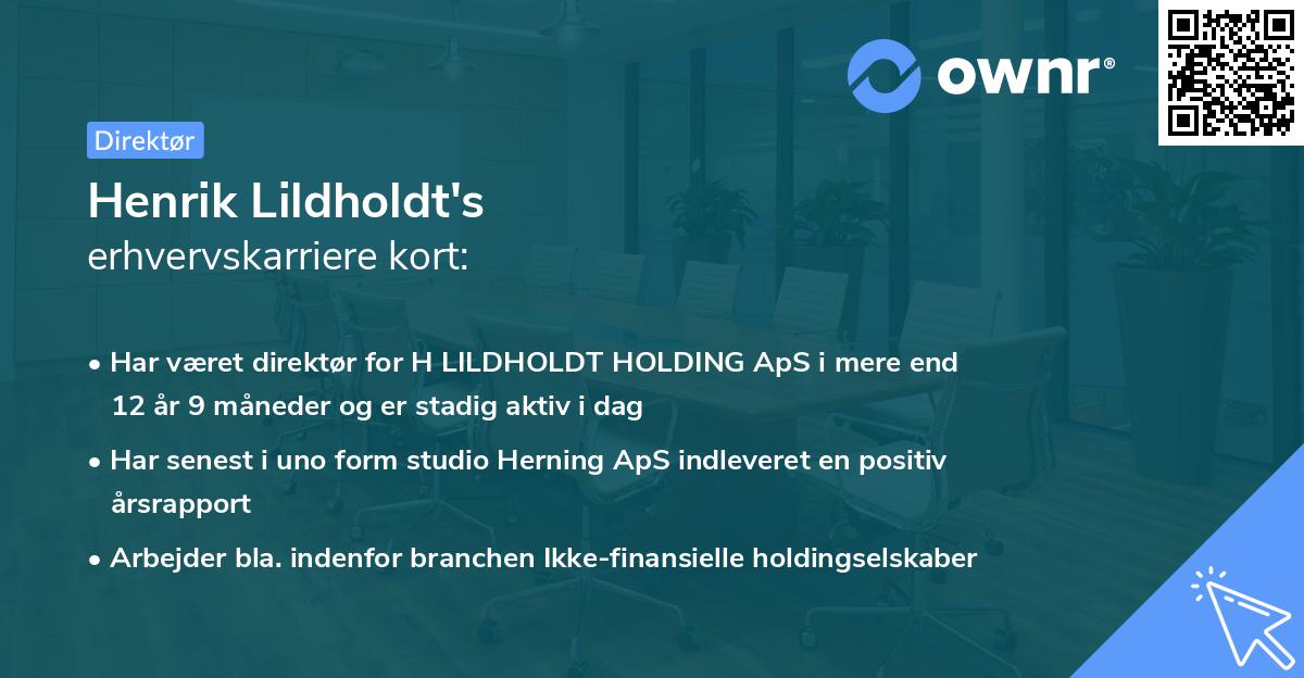 Henrik Lildholdt's erhvervskarriere kort