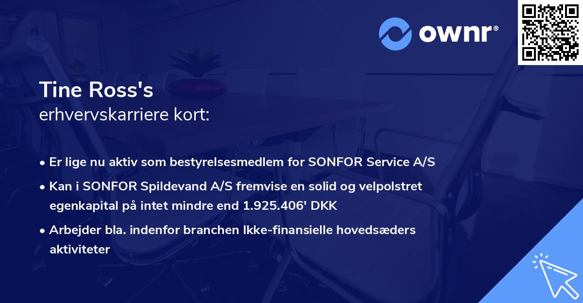 Tine Ross's erhvervskarriere kort