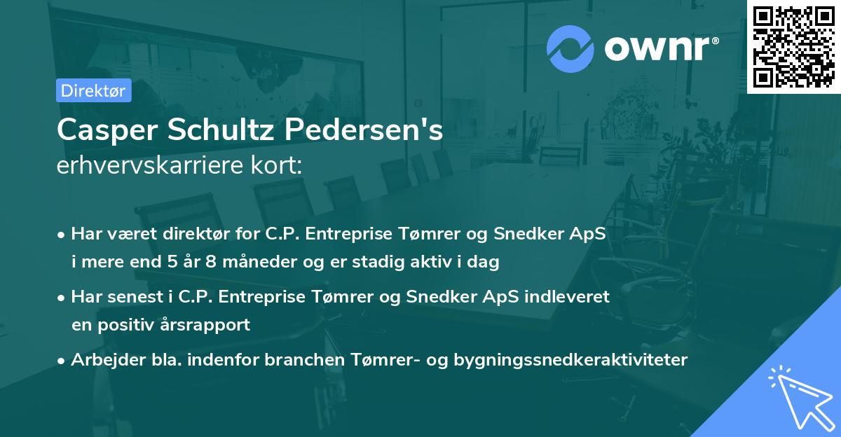 Casper Schultz Pedersen's erhvervskarriere kort