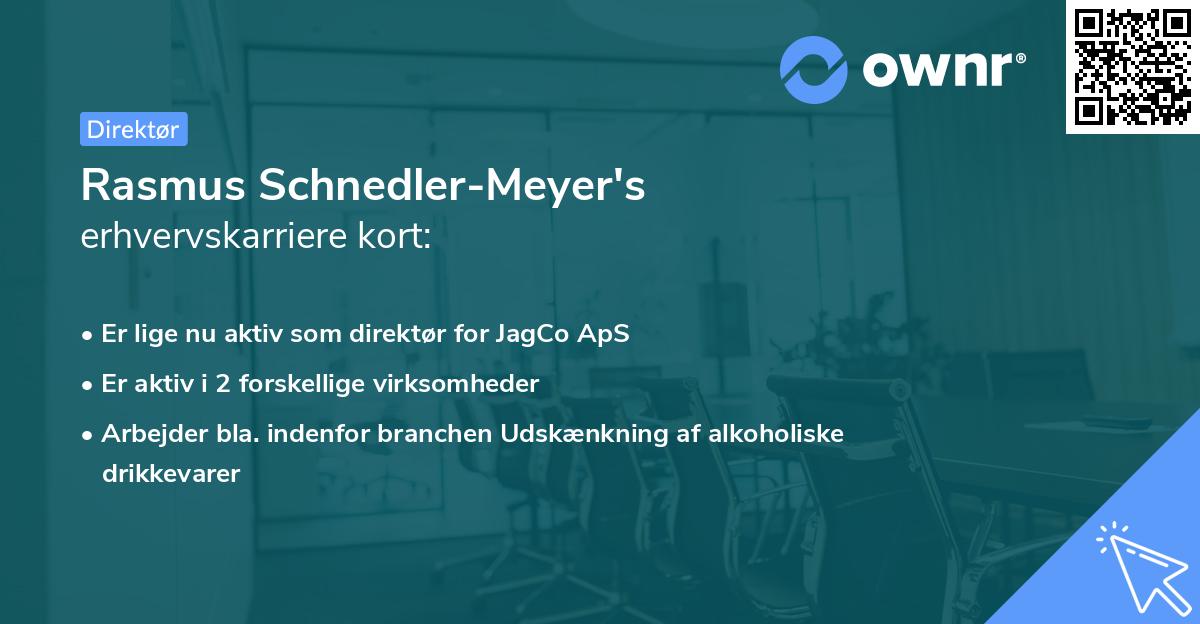 Rasmus Schnedler-Meyer's erhvervskarriere kort