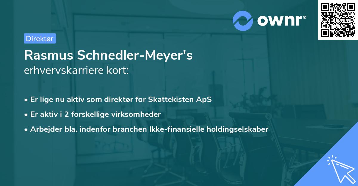 Rasmus Schnedler-Meyer's erhvervskarriere kort
