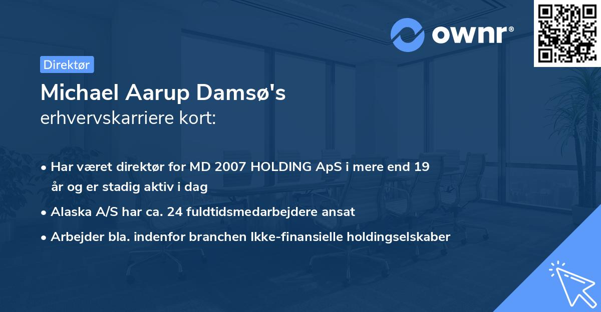 Michael Aarup Damsø's erhvervskarriere kort