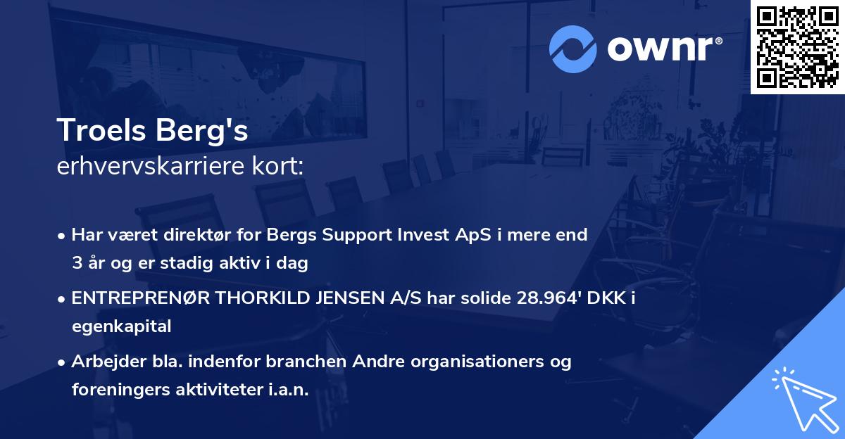 Troels Berg's erhvervskarriere kort