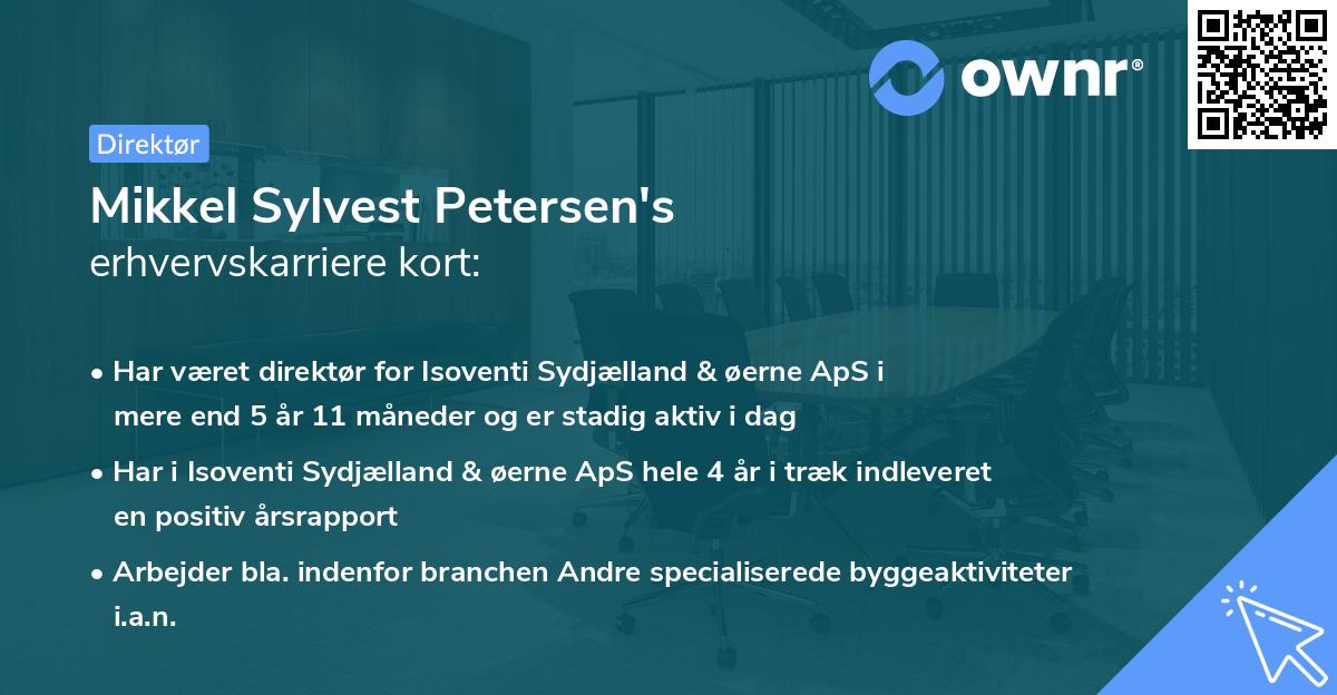 Mikkel Sylvest Petersen's erhvervskarriere kort