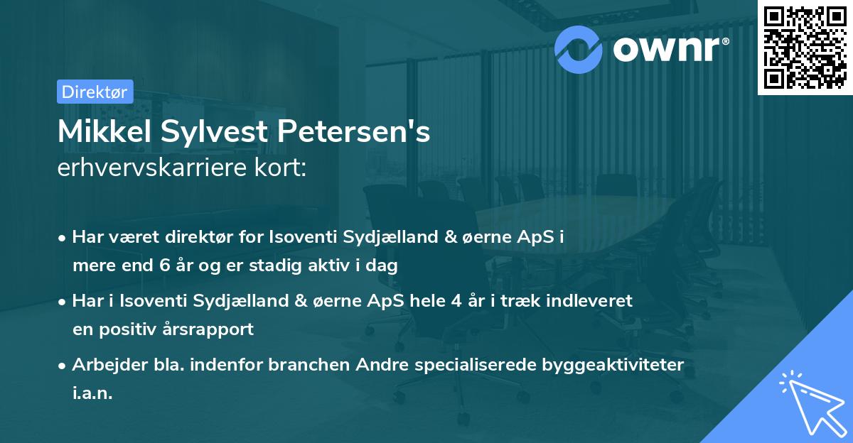 Mikkel Sylvest Petersen's erhvervskarriere kort