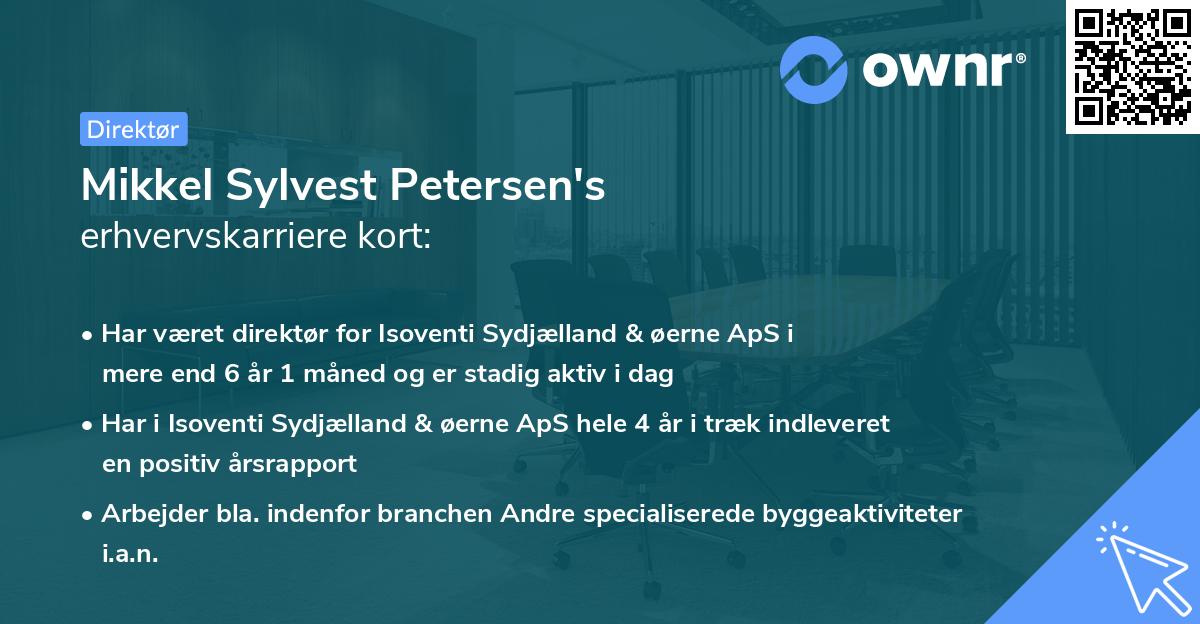 Mikkel Sylvest Petersen's erhvervskarriere kort