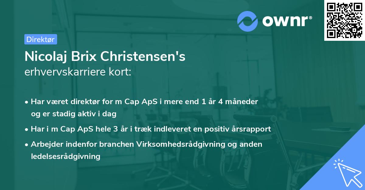 Nicolaj Brix Christensen's erhvervskarriere kort