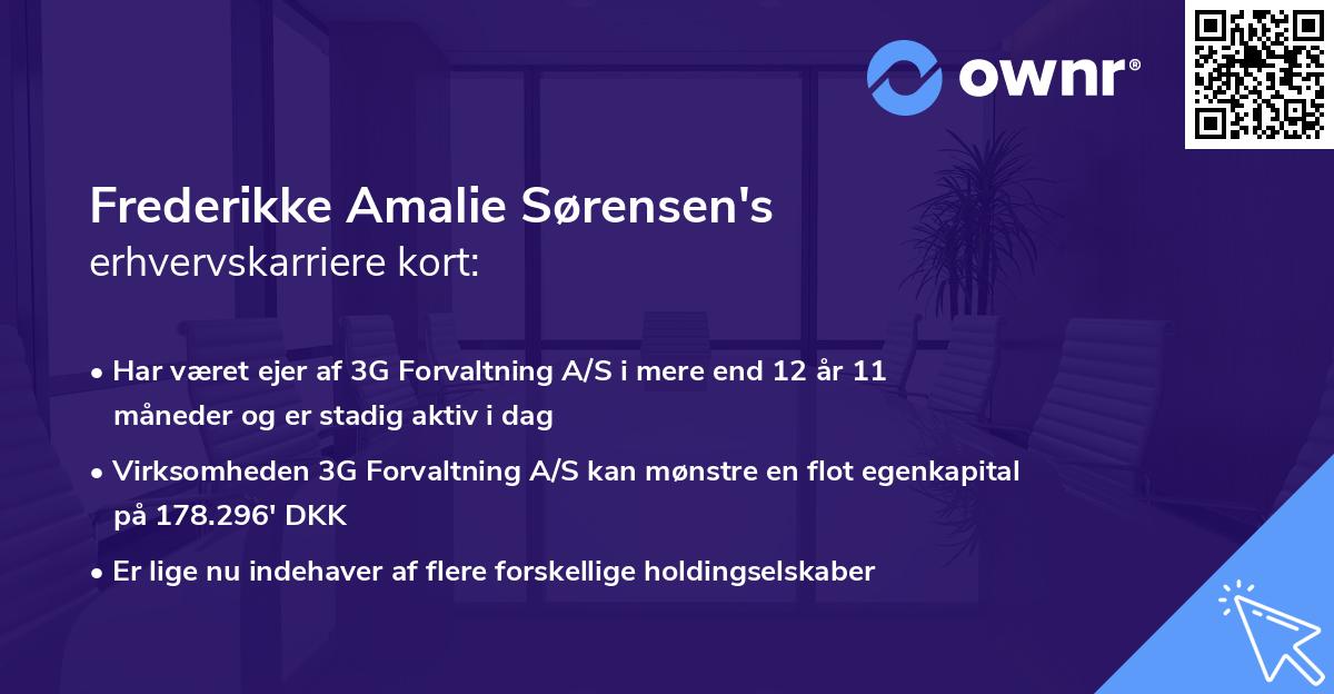 Frederikke Amalie Sørensen's erhvervskarriere kort