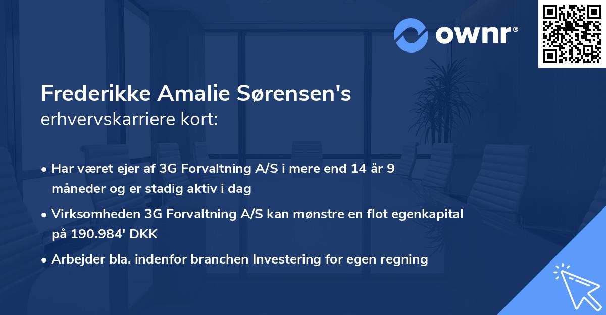 Frederikke Amalie Sørensen's erhvervskarriere kort