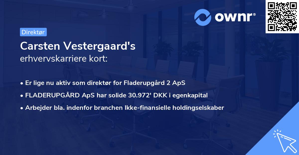 Carsten Vestergaard's erhvervskarriere kort