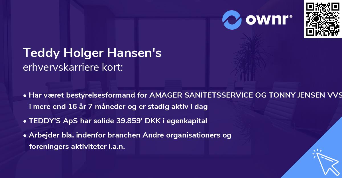 Teddy Holger Hansen's erhvervskarriere kort
