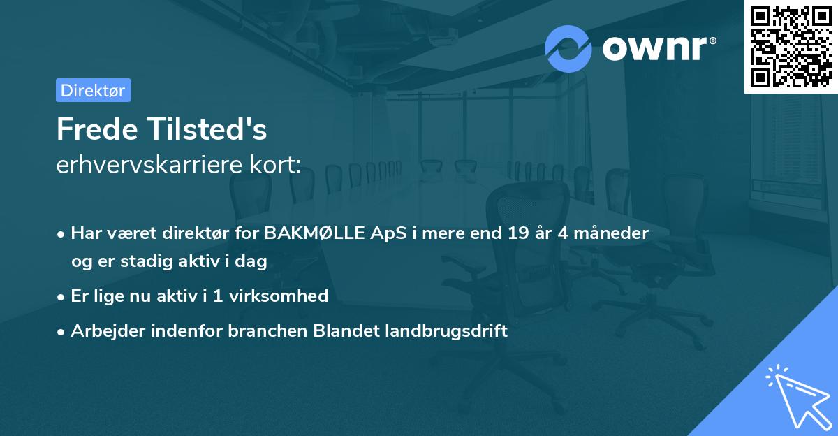 Frede Tilsted's erhvervskarriere kort