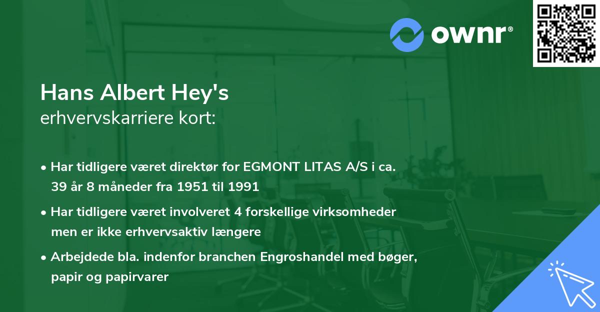 Hans Albert Hey's erhvervskarriere kort