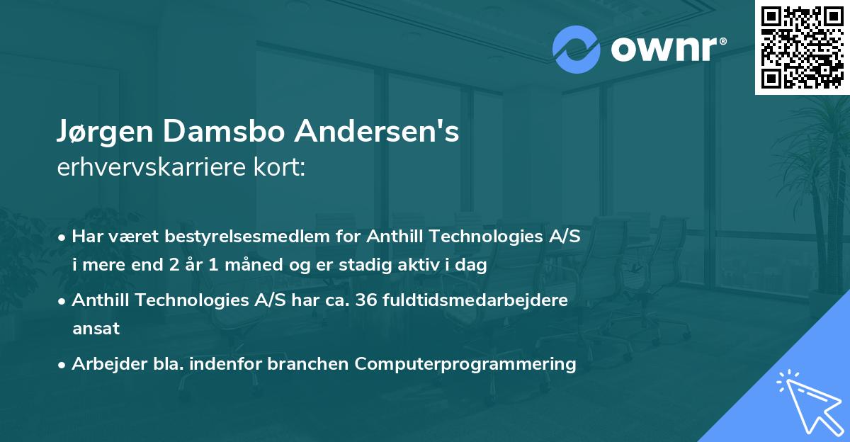 Jørgen Damsbo Andersen's erhvervskarriere kort