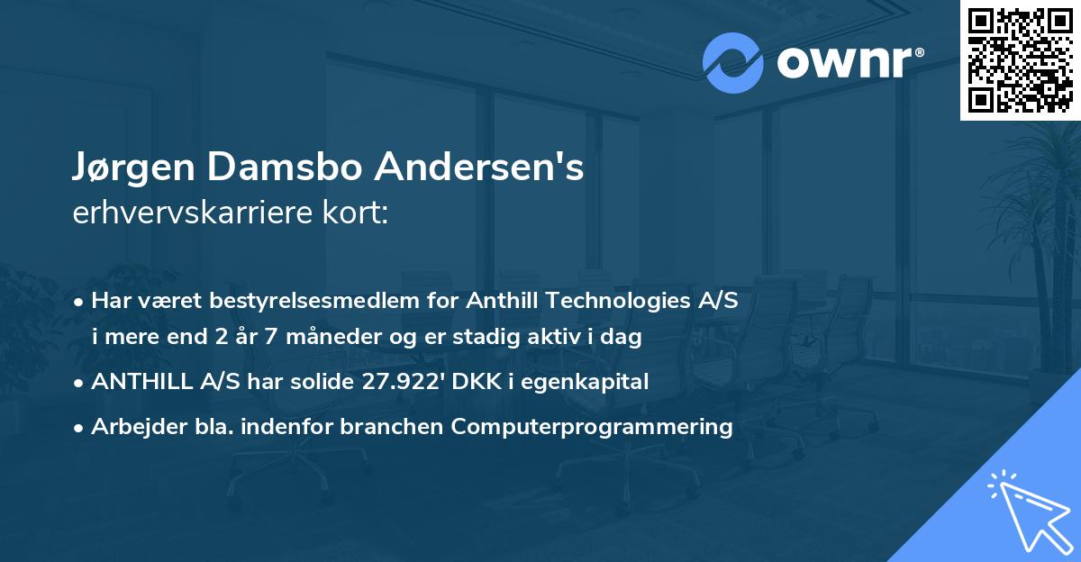 Jørgen Damsbo Andersen's erhvervskarriere kort