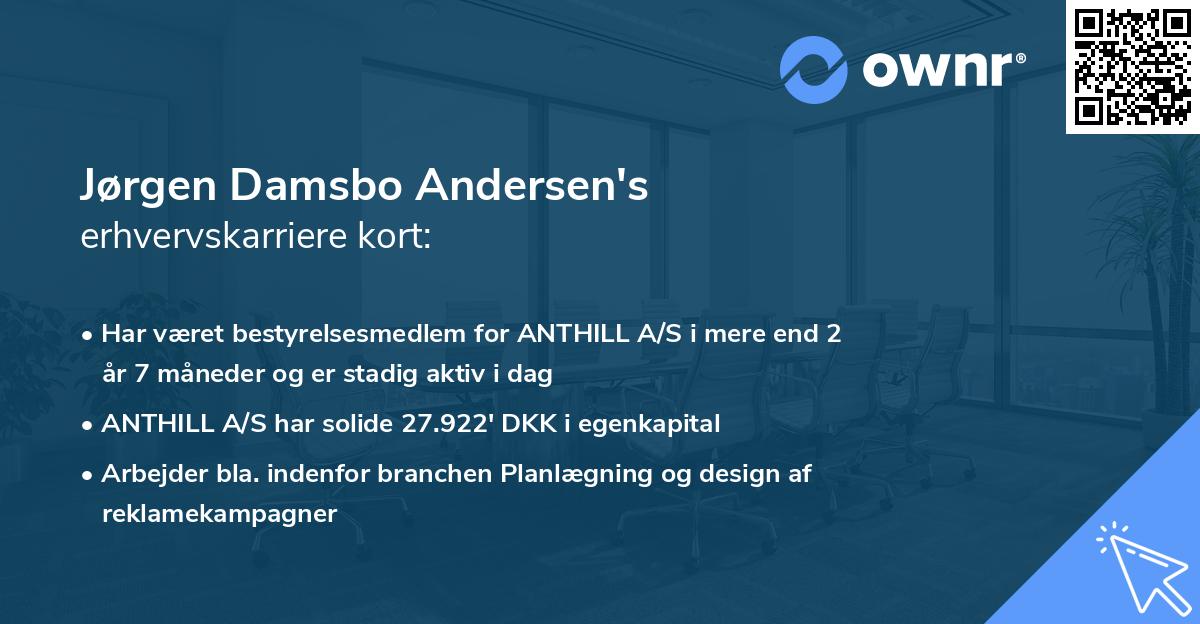 Jørgen Damsbo Andersen's erhvervskarriere kort