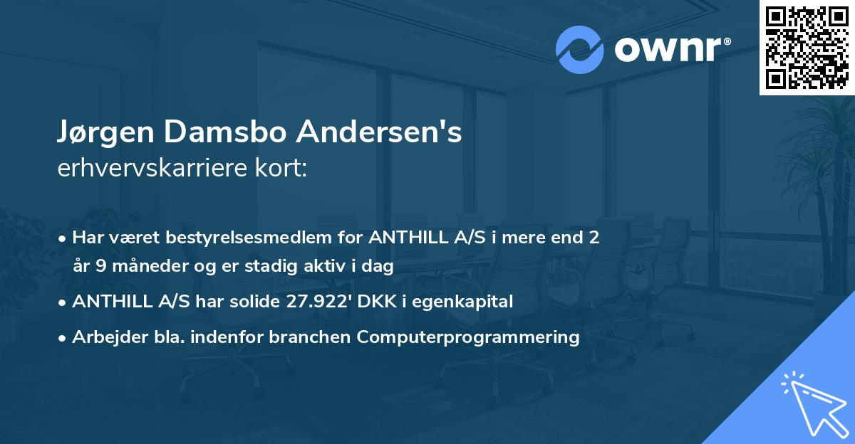 Jørgen Damsbo Andersen's erhvervskarriere kort