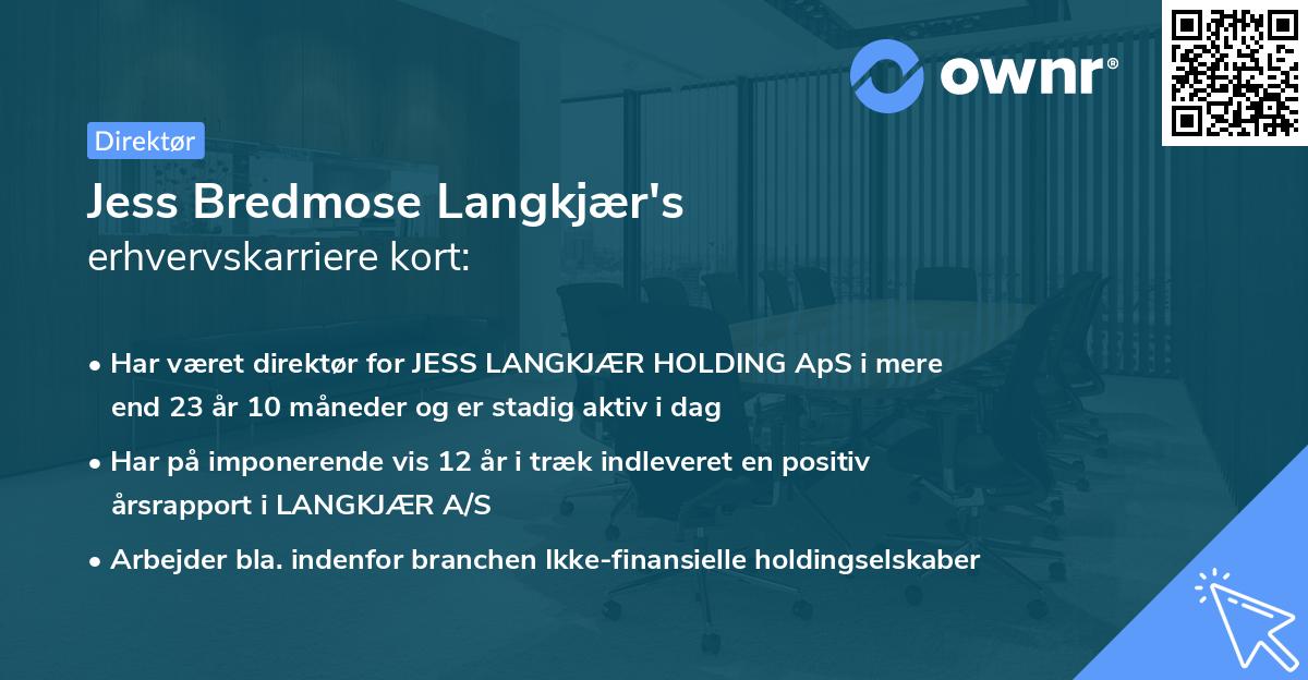 Jess Bredmose Langkjær's erhvervskarriere kort