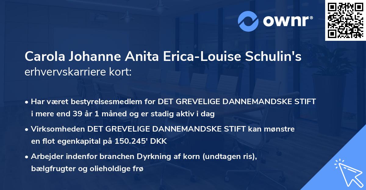 Carola Johanne Anita Erica-Louise Schulin's erhvervskarriere kort