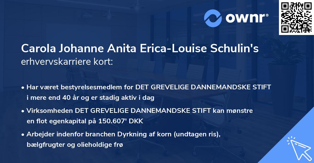Carola Johanne Anita Erica-Louise Schulin's erhvervskarriere kort