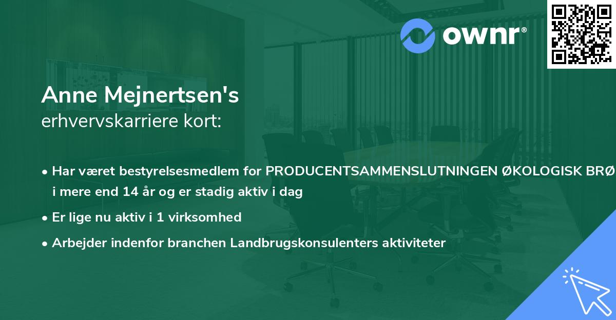 Anne Mejnertsen's erhvervskarriere kort