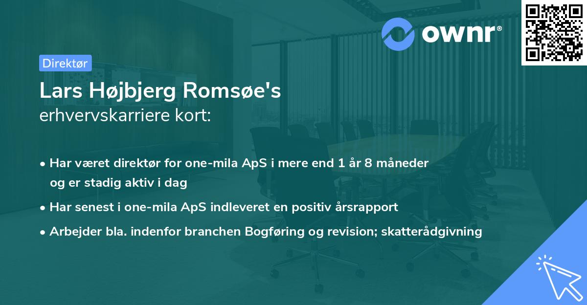 Lars Højbjerg Romsøe's erhvervskarriere kort