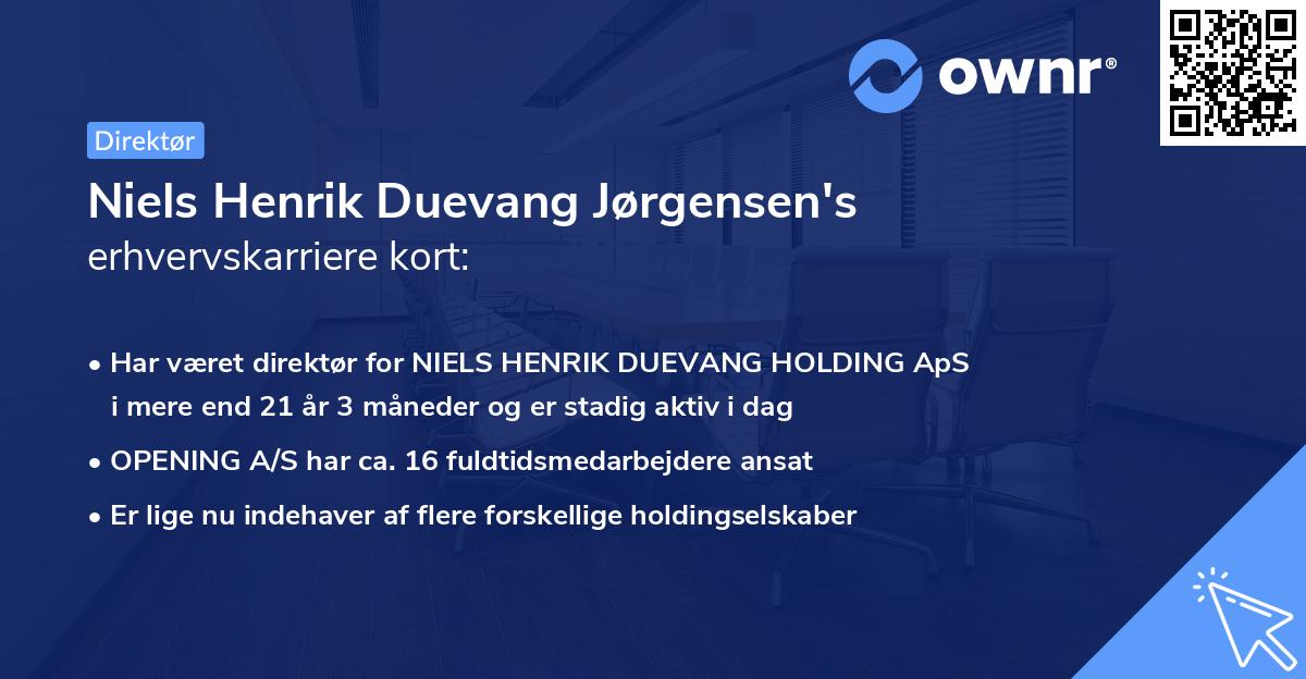Niels Henrik Duevang Jørgensen's erhvervskarriere kort