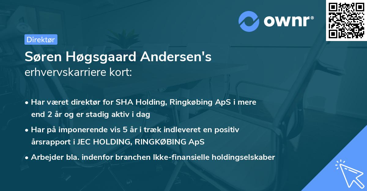 Søren Høgsgaard Andersen's erhvervskarriere kort
