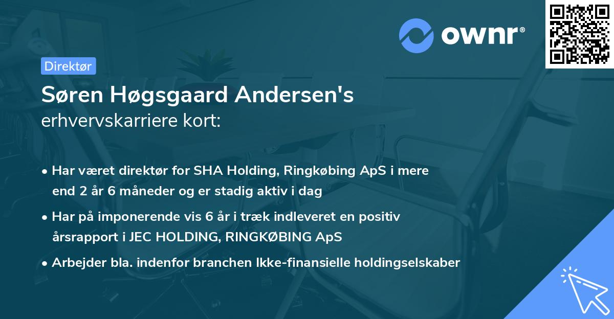 Søren Høgsgaard Andersen's erhvervskarriere kort