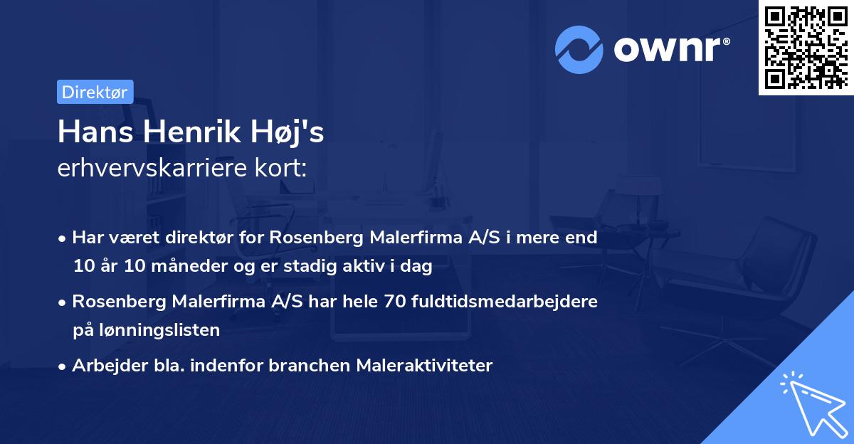 Hans Henrik Høj's erhvervskarriere kort