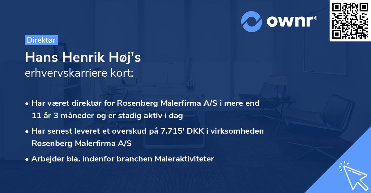 Hans Henrik Høj's erhvervskarriere kort