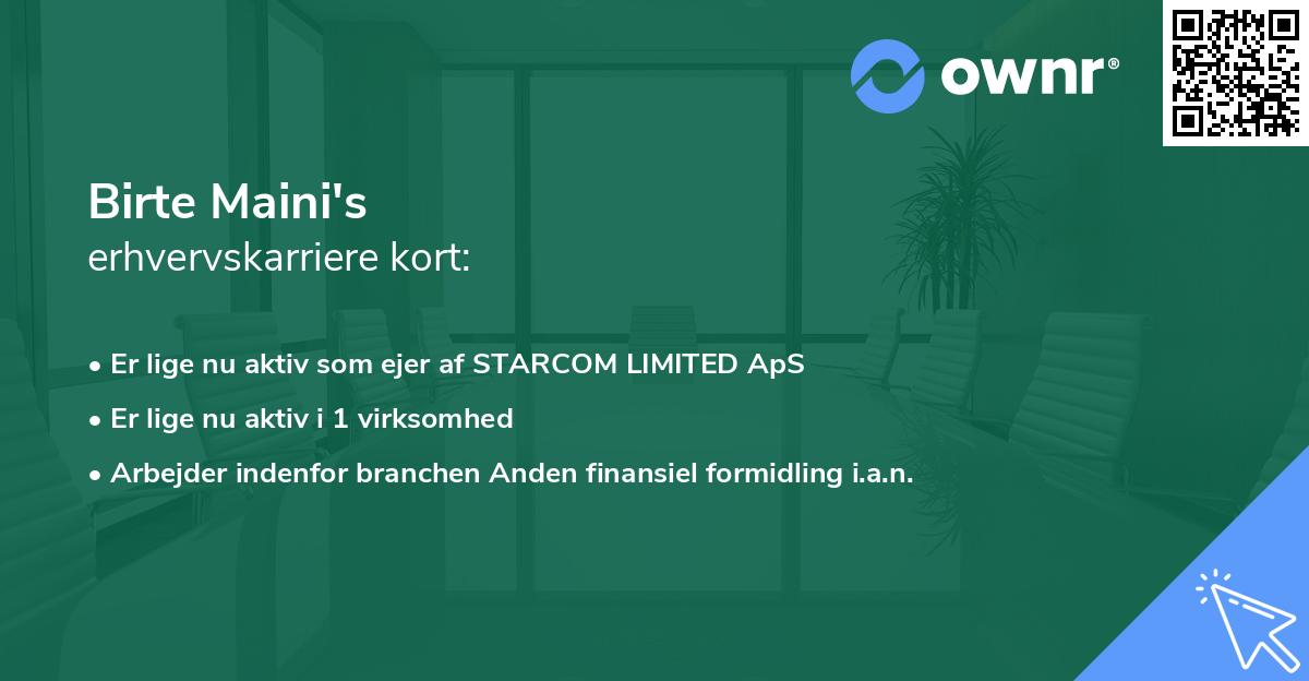 Birte Maini's erhvervskarriere kort